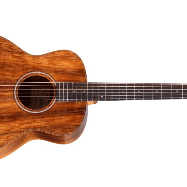 Taylor GS Mini-e Koa