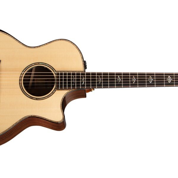 Taylor 914ce - Natural Sitka Spruce