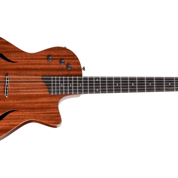 Taylor T5z Classic - Tropical Mahogany