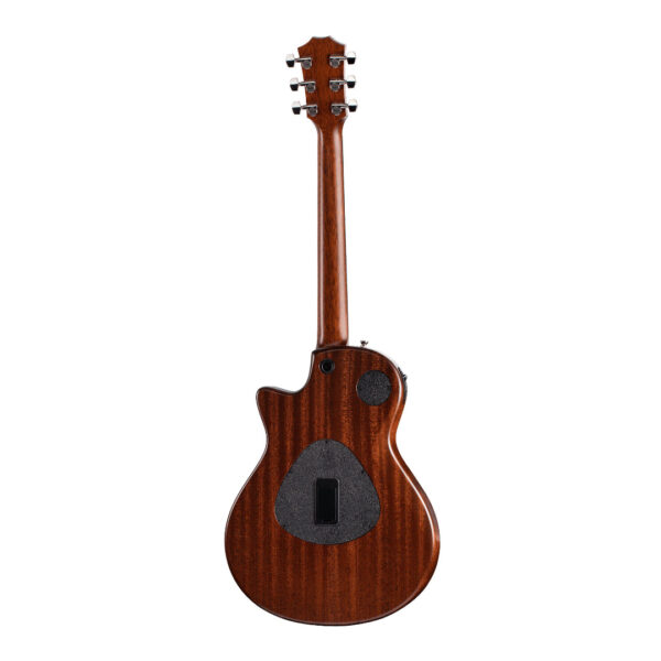 Taylor T5z Classic - Tropical Mahogany Back