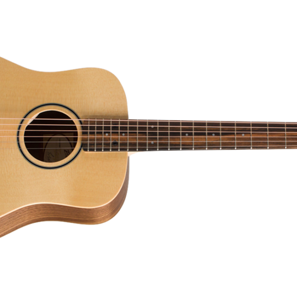 Taylor Baby Taylor BT1 Walnut Acoustic Guitar