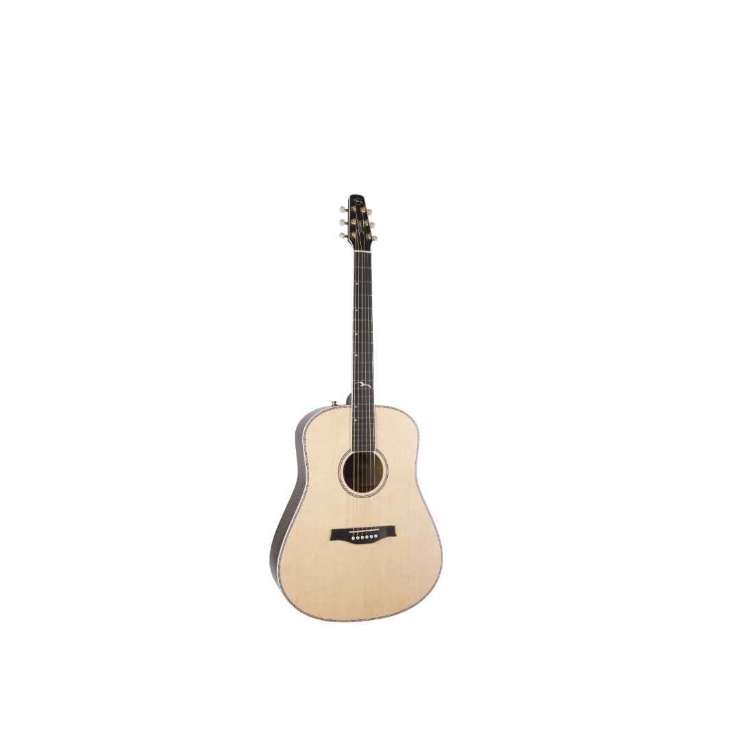 acoustic electric seagull guitar