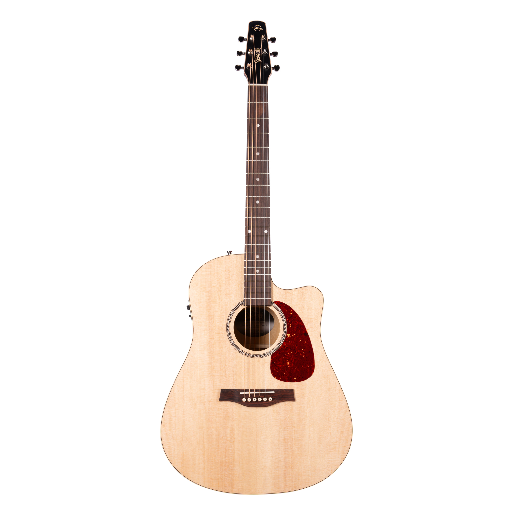 Seagull coastline deals grand acoustic guitar