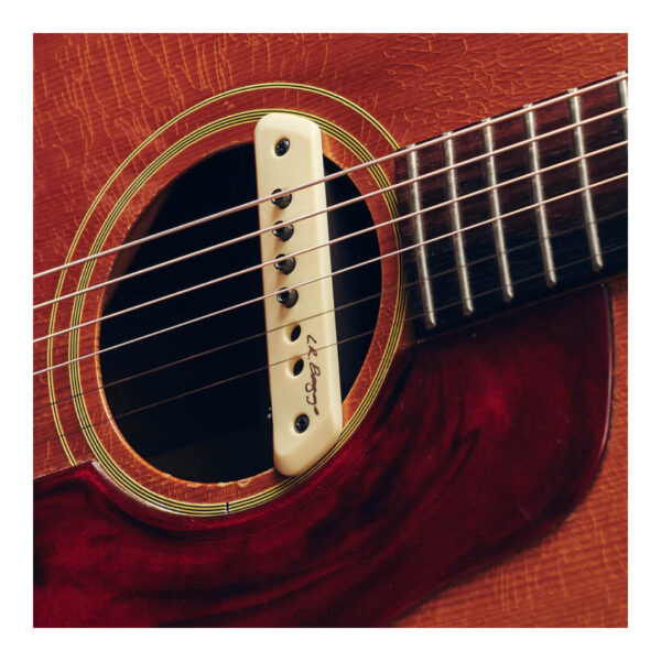 L.R. Baggs M1 Active Acoustic Guitar Soundhole Pickup
