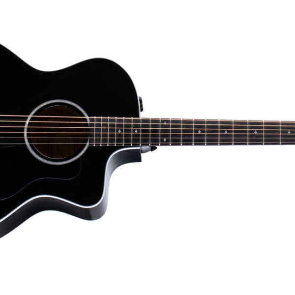 Taylor 214ce BLK DLX 6 Strings Deluxe Grand Auditorium Electro Acoustic Guitar