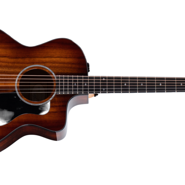 Taylor 224ce-K DLX Acoustic-electric Guitar