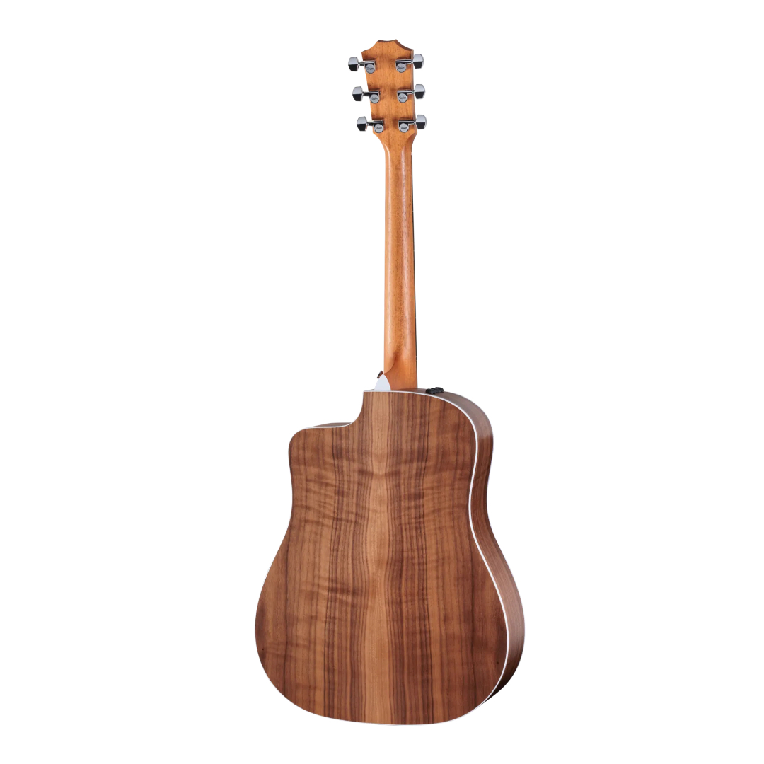 Taylor 210ce Walnut Acoustic-Electric Guitar - Back Taylor 210ce Walnut Acoustic-Electric Guitar - Back