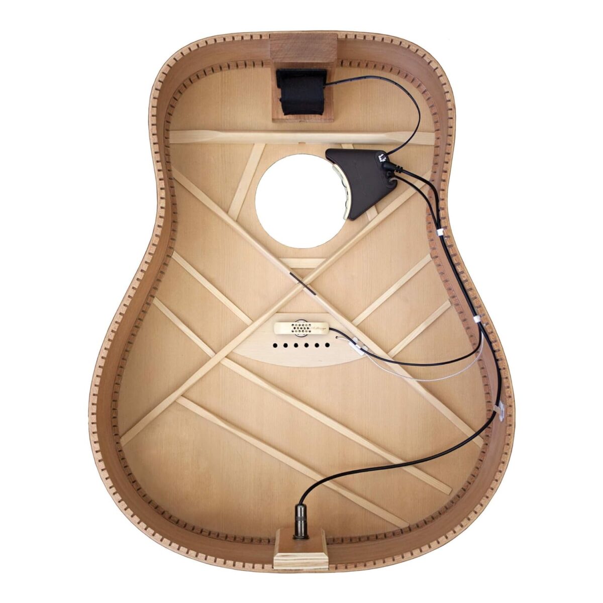 Lr Baggs Anthem Acoustic Guitar Pickup & Microphone