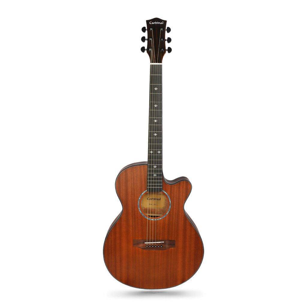 best-guitar-shop-in-mumbai-the-stockist