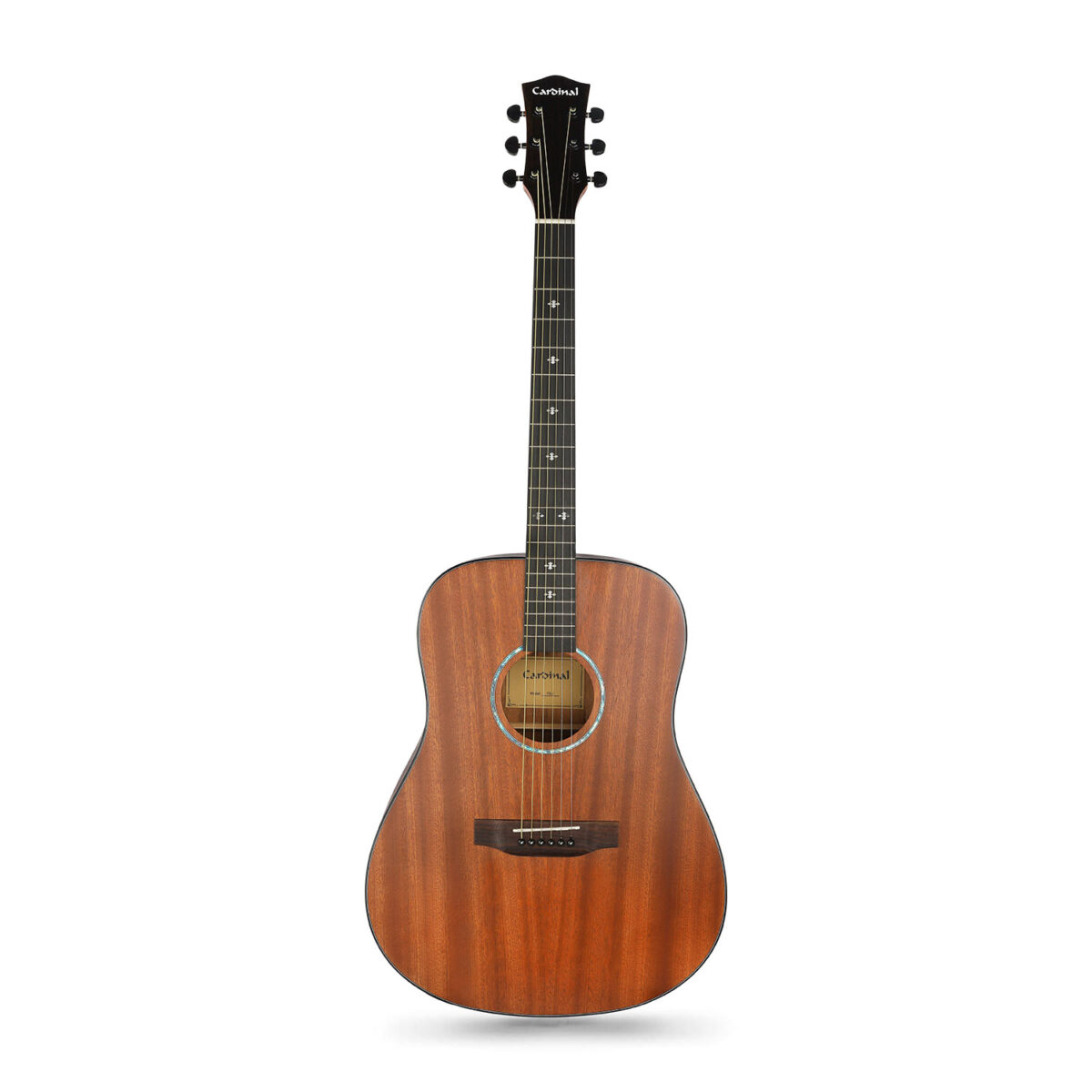 Cardinal TS-2E (41” Dreadnought with Electronics) Acoustic Guitar