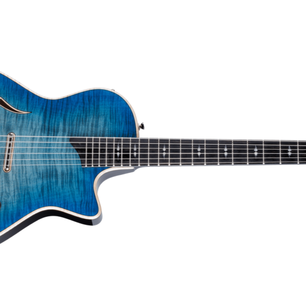 Taylor T5z Pro, Harbor Blue