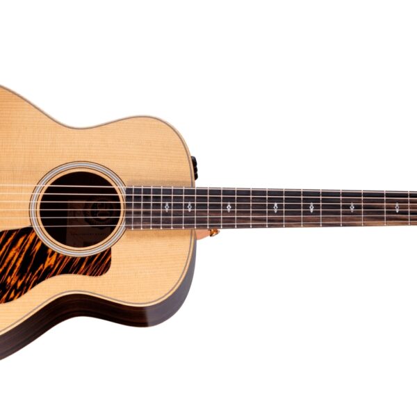 Taylor 50th Anniversary GS Mini-e Rosewood LTD