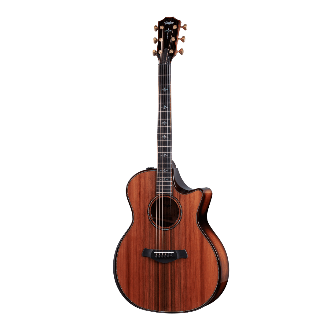 Taylor Builder’s Edition 914ce Acoustic-Electric Guitar
