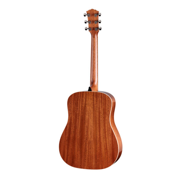 Taylor Gold Label 510e Acoustic-Electric Guitar Back