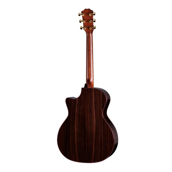 Taylor Legacy 914ce Acoustic-Electric Guitar Back